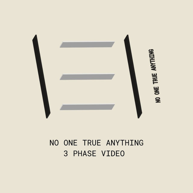 NO ONE TRUE ANYTHING / THE STORY